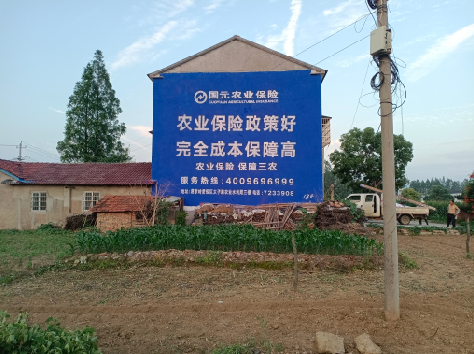 宁国墙体广告的优劣势你知道吗？